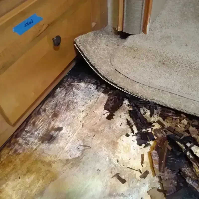 Wood Floor Water Damage in West Palm Beach, FL